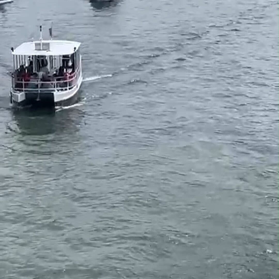 Un Bateau à Paris, bateau Olympique!
Hier, le Senang était de la fête pour célébrer le premier anniv